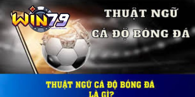 Thuật Ngữ Cá Độ Bóng Đá - Win79 Hướng Dẫn Từ A Đến Z 1 Hội viên cần biết rõ thuật ngữ