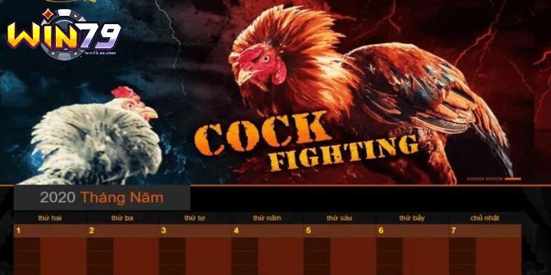Đá Gà SV288 - Mãn Nhãn Với Những Trận Đấu Nảy Lửa Tại Win79 1 Nhân tố tạo nên danh tiếng đá gà SV288