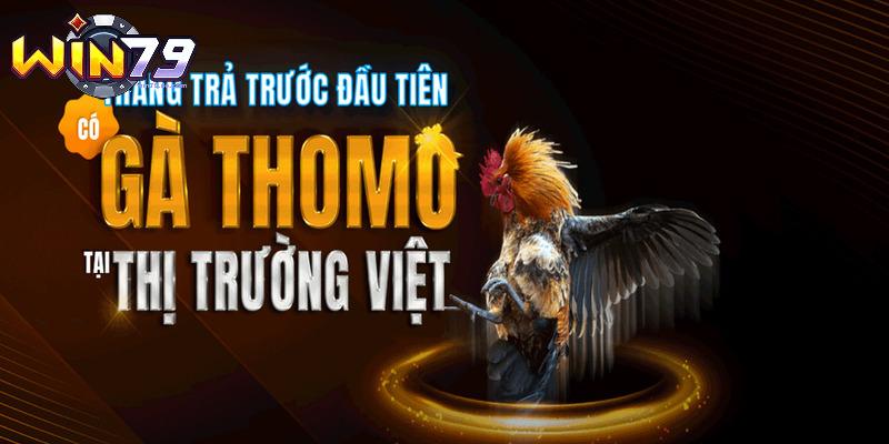 Đá Gà SV288 - Mãn Nhãn Với Những Trận Đấu Nảy Lửa Tại Win79 2 Những chiến kê hot tại sảnh