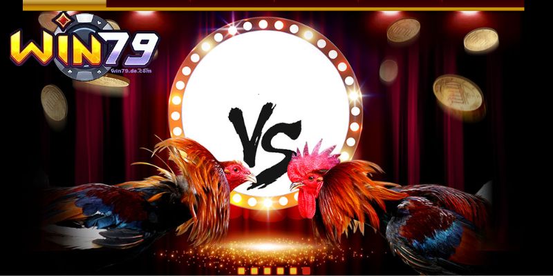 Đá gà SV128 - Nơi Hội Tụ Những Trận Đấu Kịch Tính Từ Win79 1 Sảnh đá gà SV128 có gì nổi bật?