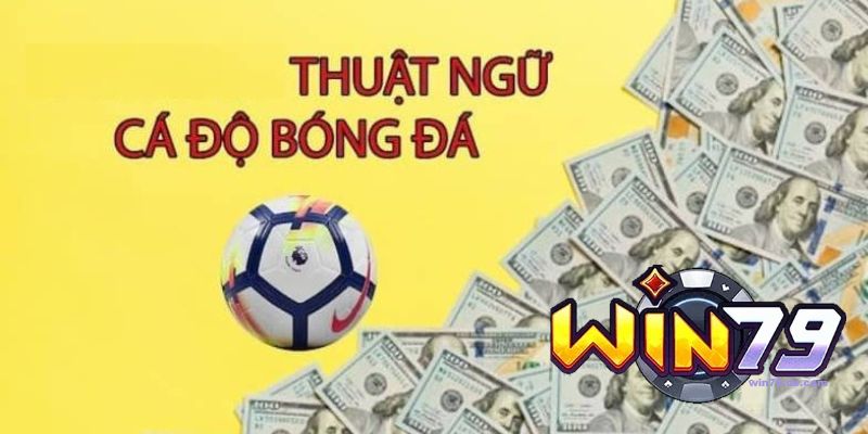 Thuật Ngữ Cá Độ Bóng Đá - Win79 Hướng Dẫn Từ A Đến Z 2 Thuật ngữ cá độ bóng đá cơ bản