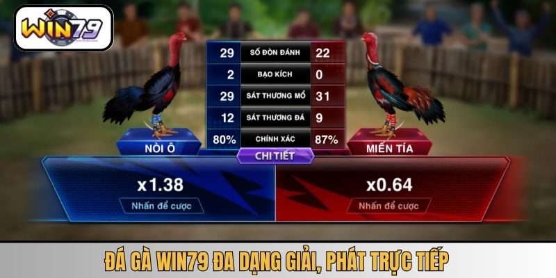 Đá gà WIN79 đa dạng giải, phát trực tiếp